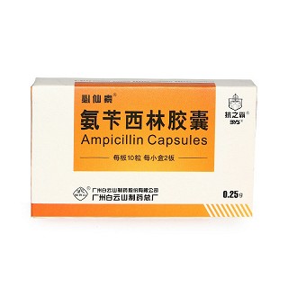 氨苄西林胶囊-重庆合速康医疗科技有限公司